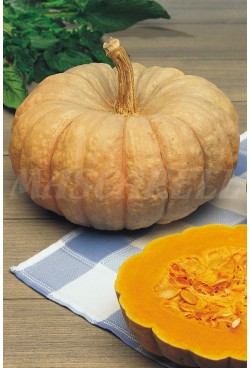 Calabaza dulce de horno, entera y partida