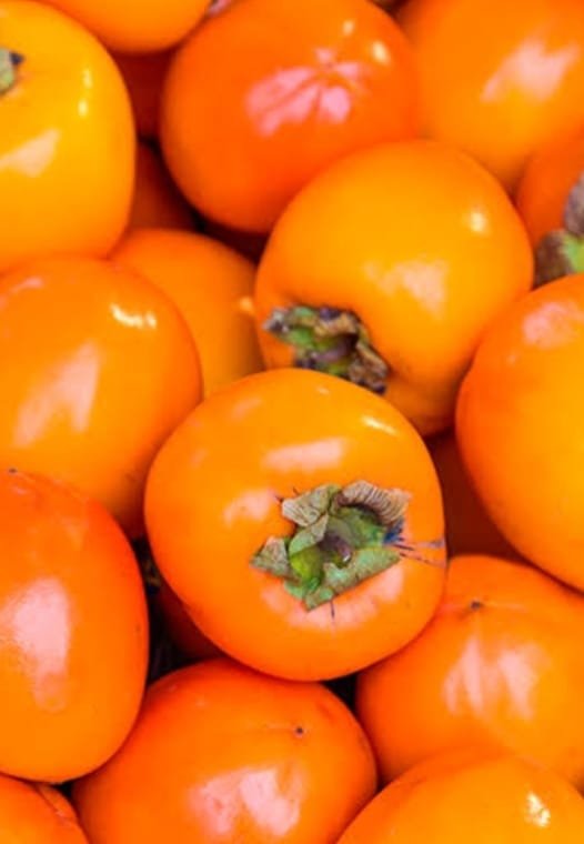 Persimon persimmons