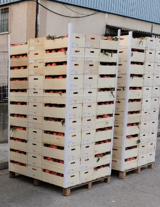 Packaging personalizado de Econatur Fruits