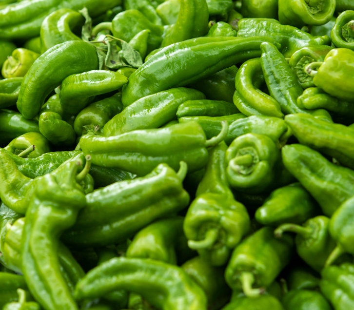 Pimientos italianos verdes recien recolectados