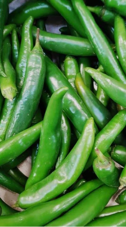 Chili verde de la huerta valenciana