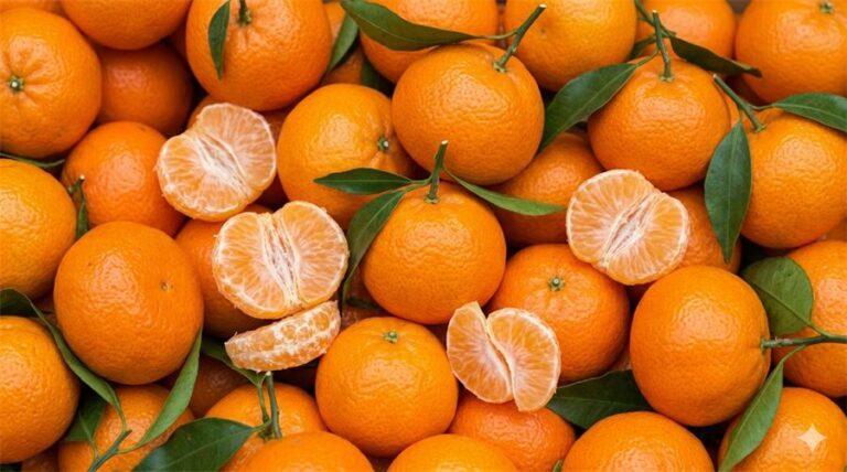 Mandarinas de Valencia recién recolectadas